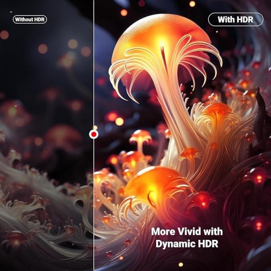 UGREEN HDMI 8K Cable - HD171 - 25908