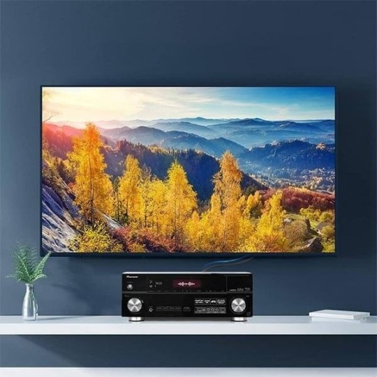 UGREEN 2RCA Male to 2RCA Male Cable - AV104 - 30747