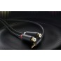 UGREEN 3.5mm Male to 2RCA Male Audio Cable - AV195 - 90245