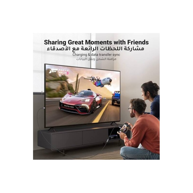 UGREEN USB-C Male to Female Gen2 5A Braided Cable - US372 - 30205