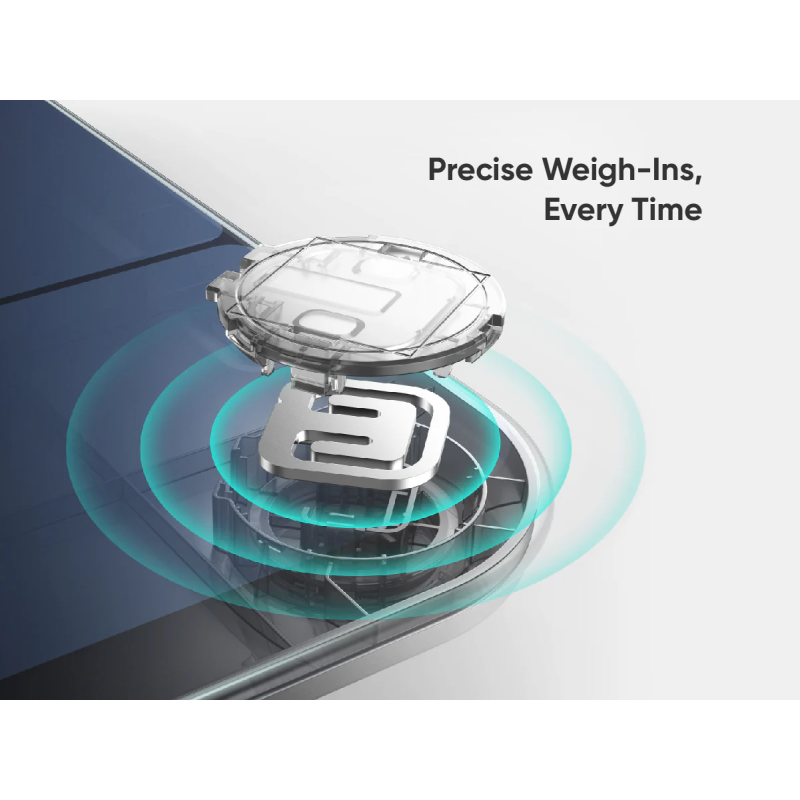 Anker Eufy Smart Scale P3 - T9150K11