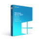 Microsoft Windows Server 2019 Remote Desktop Services | 50 Device CALs License for Secure Business Access