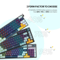 Fantech MK875 V2 Atom 81 RGB Mechanical Gaming Keyboard – Compact & Responsive
