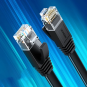 UGREEN Cat 6 U/UTP Lan Cable (Black) - NW102 - 20158