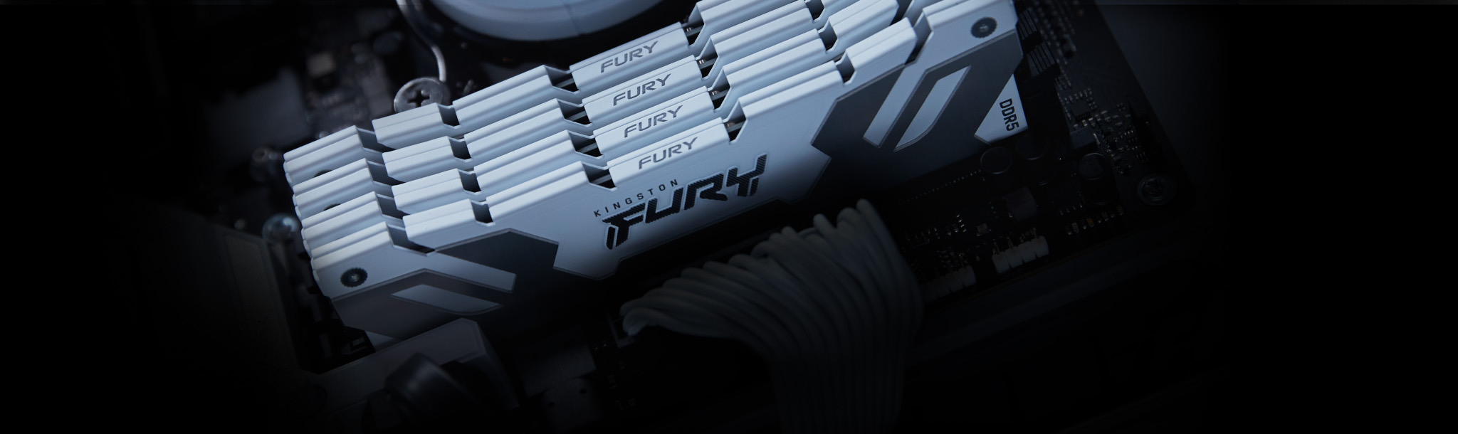 Kingston FURY Renegade RGB DDR5 Image 2