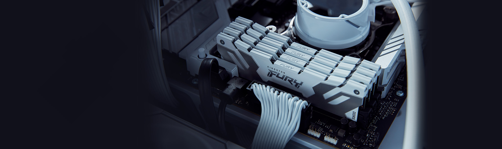 Kingston FURY Renegade RGB DDR5 Image 5